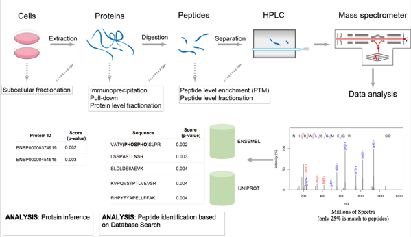 Basic Massspectrometry-based workflow diagram